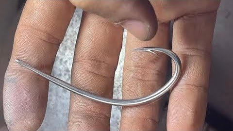 Lưỡi Câu Cá Lóc Heo Dầu 2li8 ĐTZalo: 0919111169-0939333282 Huỳnh Kiệt Cà Mau