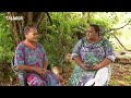 TALANOA: Tufele Samino (Intégrale du 20 juillet 2023).