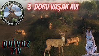 THE HUNTER CLASSİC TÜRKÇE (whitehart island ) kuleden av üç vaşak avladim. screenshot 5