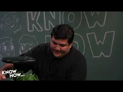 Know How... 253: Grow How: Root Bound