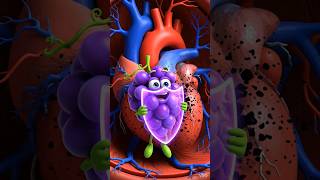 This Fruit Makes Your Body Strong! 🍇 | Kids Health Cartoon| Happy Toon World