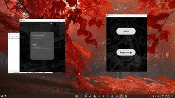 RAD Studio- Login Form GUI Example (C++)