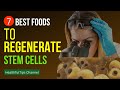 Uncovering the Secret to Staying Young: Can Boosting Stem Cells Do the Trick?