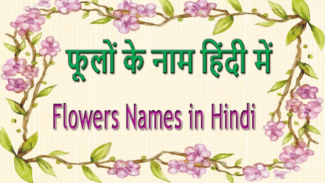 Learn Flowers Names in Hindi, Flowers Names in Hindi, Phoolon Ke Naam