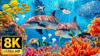 Discover Spectacular Deep Ocean Creatures in 8K HDR | Dolby Vision™
