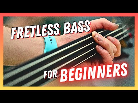 fretless-bass...-for-beginners