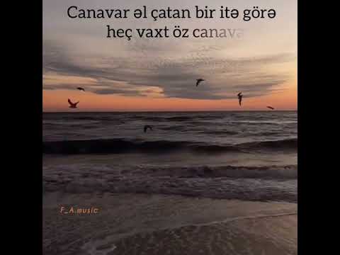 Aytaç Doğan -