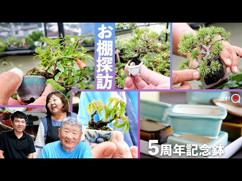 久しぶりに原志水さんの盆栽棚訪問と５周年記念鉢【盆栽Q】