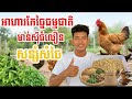 អាហារធម្មជាតិកែច្នៃ ៤មុខមាន់ស៊ីធំលឿននិងសន្សំសំចៃ| 4 Feeds to Boost Chicken Growth Fast & Save Money