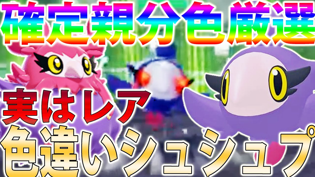 シュシュプ 色 違い