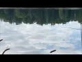 Неудачная поклевка #поклевка #поплавок #asmr #fishing #рыбалка