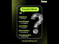 Learn German Words! 🇩🇪 reagieren and more!