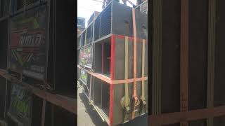 Download Mp3 start karnaval jeding junrejo 13 agustus 2023 Gudang lagu Download Mp3 start karnaval jeding junrejo 13 agustus 2023