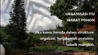 ORGANISASI ITU IBARAT POHON