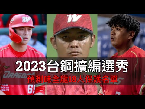 2023台鋼擴編選秀分析：預測味全龍18人保護名單