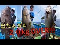 【激闘】スロージギングで20キロ超のカンパチ＆マハタ！やっぱビッグゲーム！【小笠原諸島　母島】Slow pitch Deep Jigging