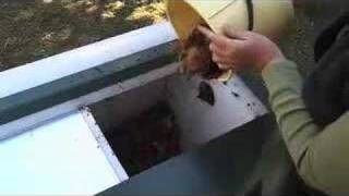 Jora Big Pig Compost Maker-home organic gardening easy on you and the environment