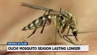 Mosquito Season Lasting Longer