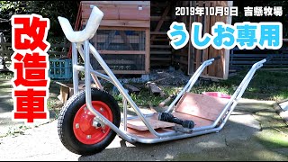 うしお専用 改造一輪車 歩けなくなったヤギ「うしお」日記＃11　吉懸牧場　2019年10月9日