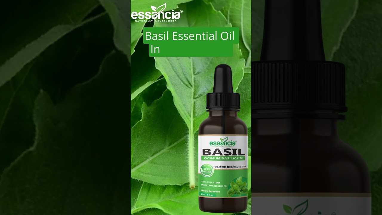 Essancia -  Basil Essential Oil for Hair Care, Skin Care, Body Massage and Aromatherapy