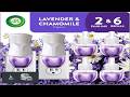Air Wick Plug in Scented Oil Starter Kit 2 Warmers + 6