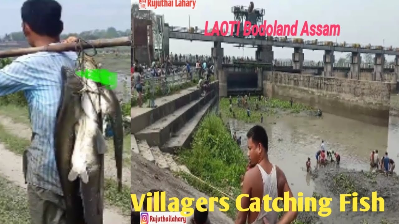 Laoti switch Gate fish catching || Villagers catching fish very Interesting || Big & Small Fish Wow