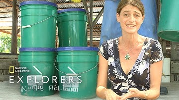 Sustainable Solutions | Explorers in the Field