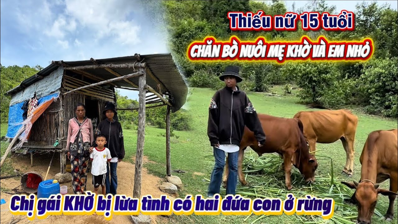 THẬT XÓT XA thiếu nữ 15 TUỔI chăn bò kiếm cơm mỗi ngày NUÔI MẸ KHỜ em nhỏ || 425