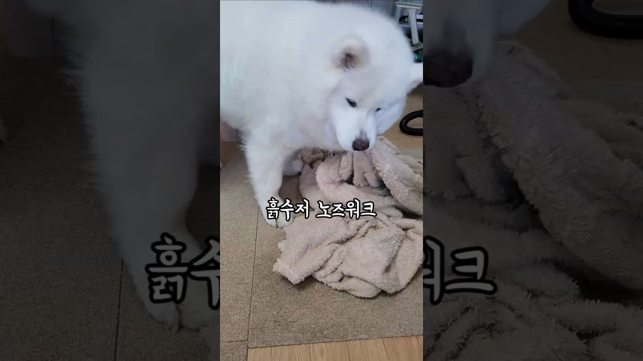 흙수저 노즈워크