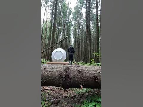 Стрельба.Рогатка. Тарелка - YouTube