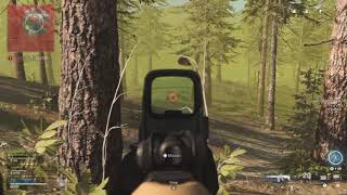BUG FIX: Warzone Heartbeat Sensor Glitch