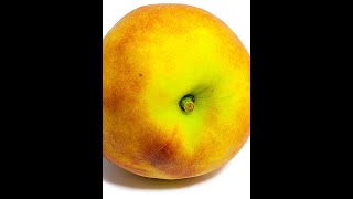 Rotting Peach Timelapse #Shorts