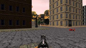 Playing NeoDooM with Medic allies!!