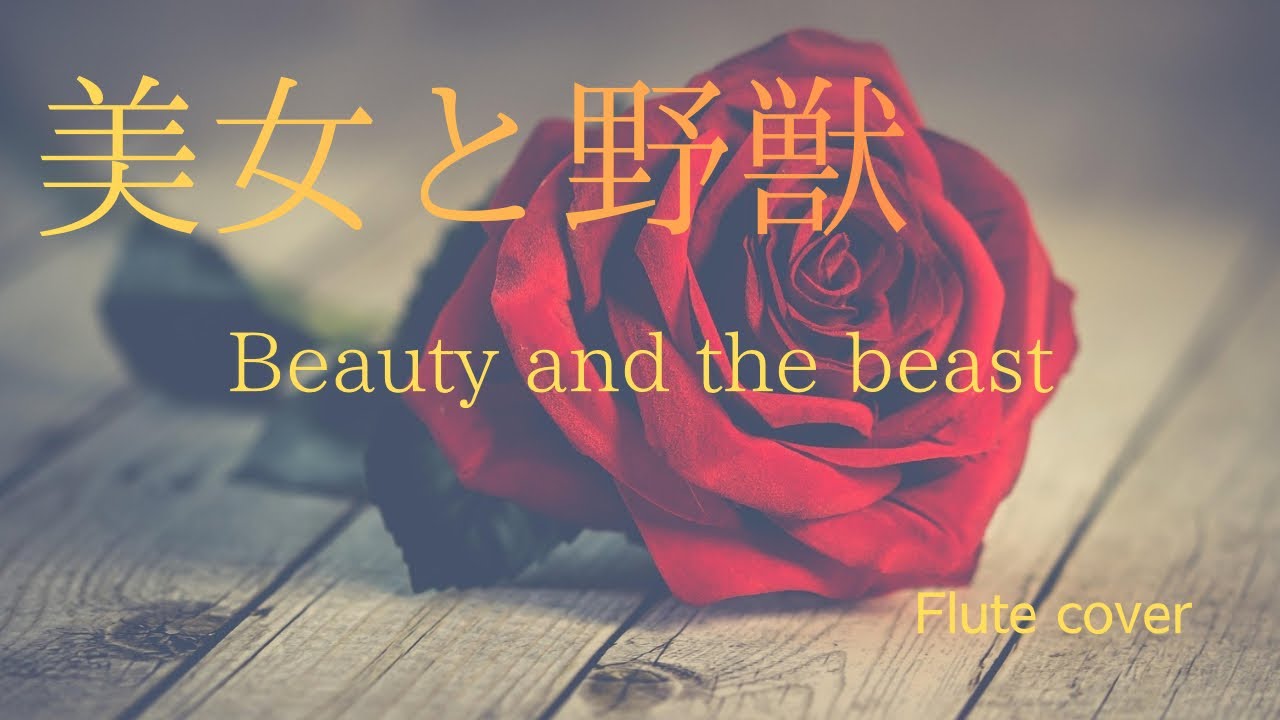 美女と野獣　〜愛は本当の姿を映す〜｜Flute Cover