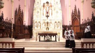Gospel Procession Tutorial for Altar Servers