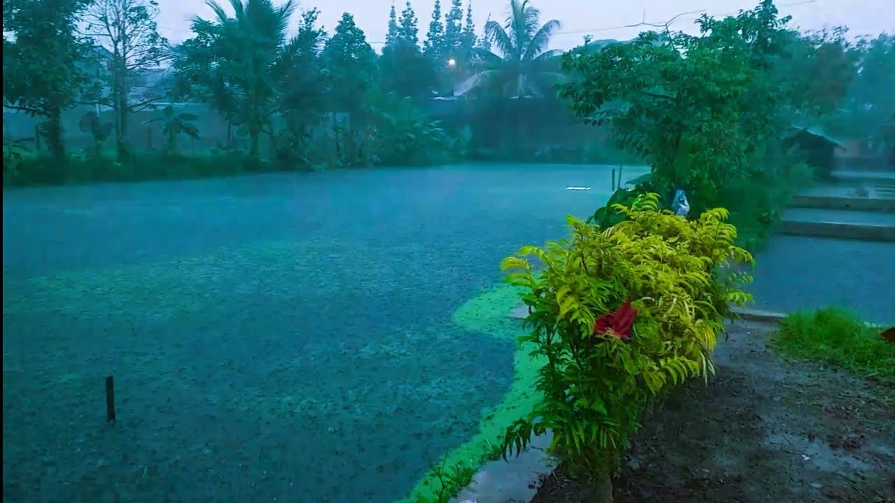 Village Rainfall Exploring The Beauty Of Rainy Days In The Countryside village-rainfall-exploring-the-beauty-of-rainy-days-in-the-countryside