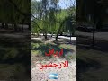 الله علي جمال الريف في الارجنتين والطبيعة الساحرة Shorts Argentina 