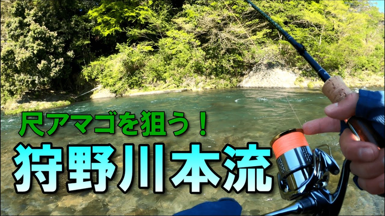 【渓流ルアー】狩野川本流の尺アマゴを狙う！　渓流釣り　本流釣り　パームス　エゲリア69ML 18ステラ c3000xg