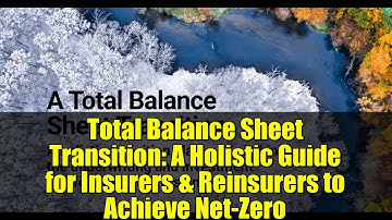 Total Balance Sheet Transition: A Holistic Guide for Insurers & Reinsurers to Achieve Net-Zero