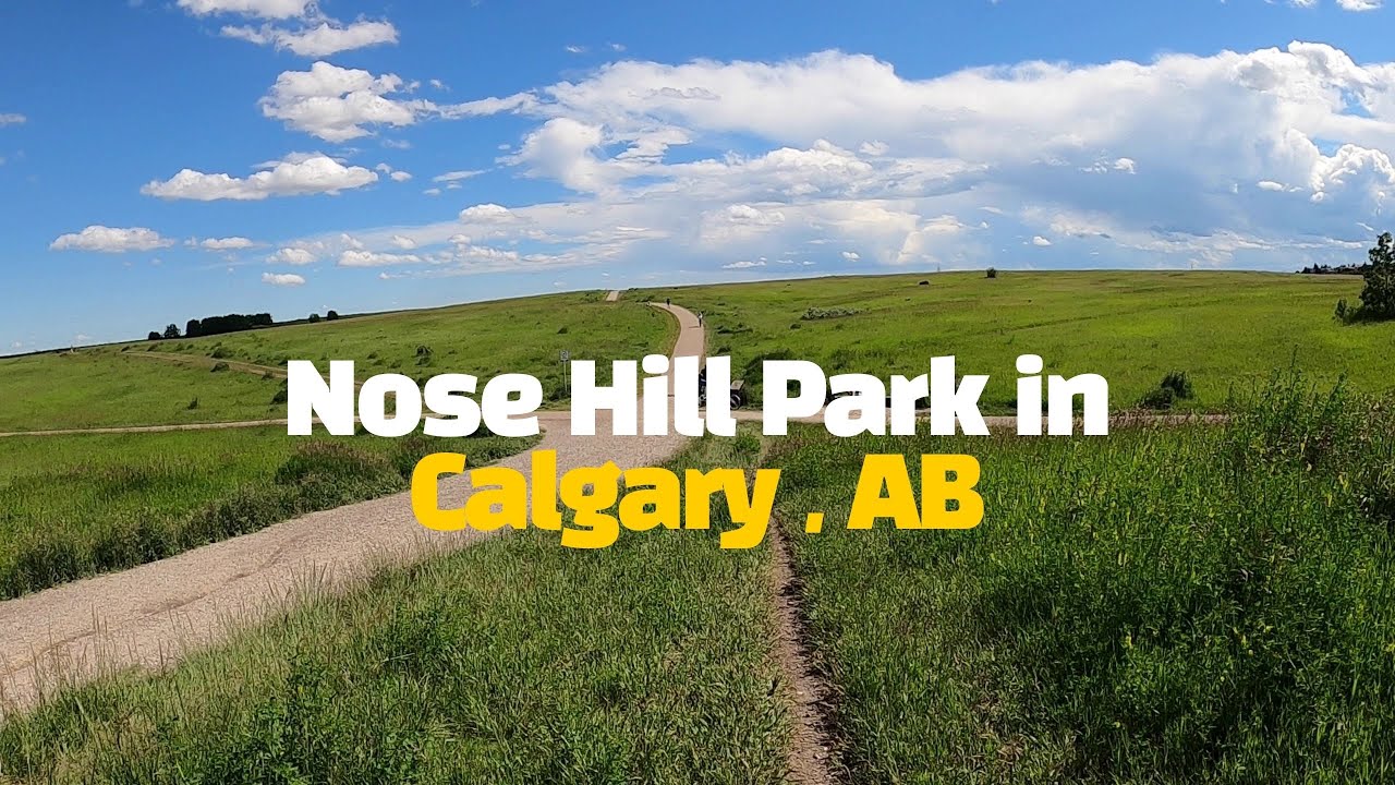 Nose Hill Park in Calgary 4 I Calgary Bike Pathways YouTube