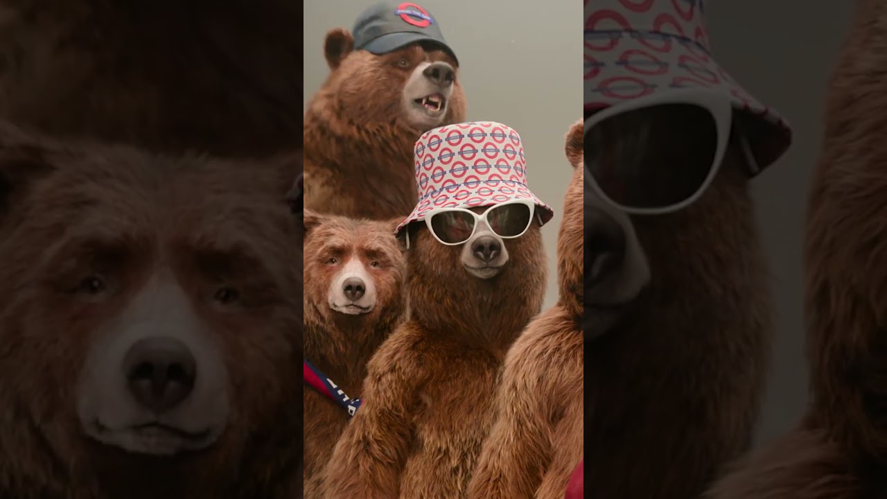 Paddington | Meet The Family