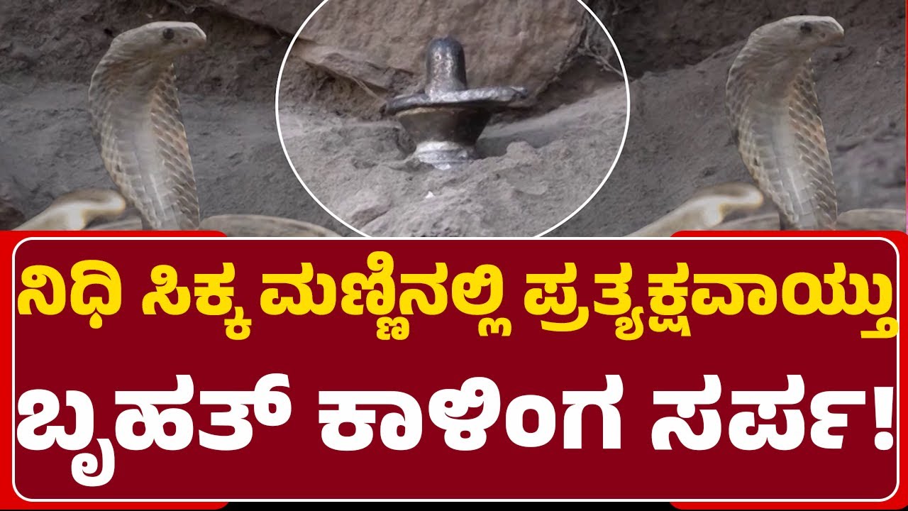 Lakkundi Treasure : ನಿಧಿಸುತ್ತ ಸರ್ಪಕೋಟೆನಾ? ಊರಿಗೆ ಶುರುವಾಯ್ತು ಆ ಭೀತಿ? | Shivalinga | @newsfirstgadaga