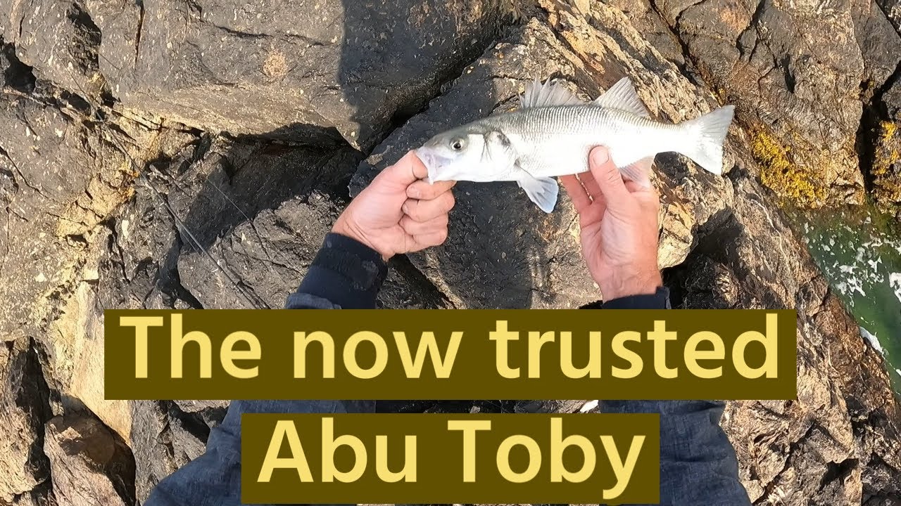 lure fishing | A very welcome Bass