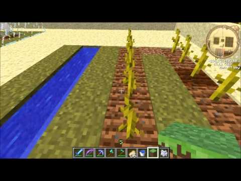 Minecraft: Plantação de Abóboras (Pumpkins)