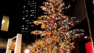 行ってQ！クリスマスツリー