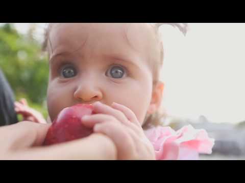 Nosso Primeiro Sentimento - Lema Ambiental