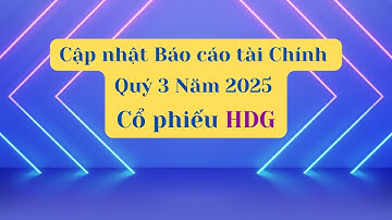 Cập nhật Báo cáo tài chính Quý 3 Năm 2025 của cổ phiếu HDG