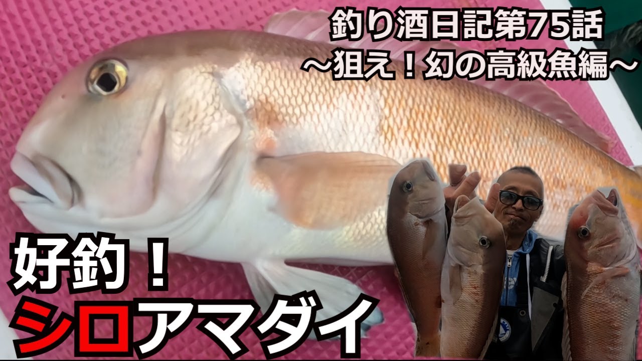 【シロアマダイ】相模湾で好調！そして奇跡が起きるw