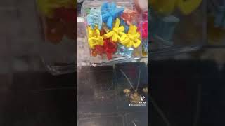 beautiful clutcher available #subscribe my channel#explore #fashion #onlineshopping