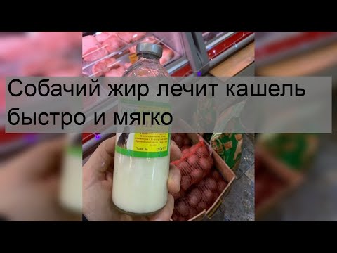 Собачий жир лечит кашель быстро и мягко